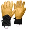 Black Diamond Gants Tour