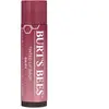Burt's Bees - Tinted Lip Balm Daisy