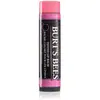 Burt's Bees Burt's Bees Baume Coloré Pour Les Lèvres Teinte Pink Blossom