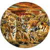 SunsOut Pièces XXL - Lori Schory - Tigres partout 35124