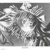 RVNG INTL. Blondes - Persuasion (12" Vinyl Single)