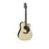 Takamine GD51CE-NAT black walnut elektr.akoest. westerngitaar naturel