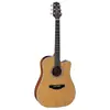 Takamine Gd20ce-ns