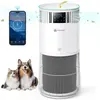 REDKEY Purificateur d'Air pour Maisons avec Animaux-Amicura P2-Filtre ...