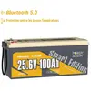 PowerQueen  Batterie Lihium 24V100Ah LiFePO4 Bluetooth Batterie pour v...