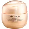 Shiseido Benefiance Overnight Wrinkle Resisting Cream 50 ml (1 pièce)
