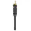 Câble RCA BELKIN coaxiale RCA M/M 1M Noir F3Y096bf1M
