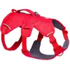 Ruffwear Harnais Pour Chien Web Master 