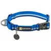 Ruffwear Collier De Chien Web Reaction 