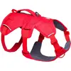 Ruffwear Harnais Pour Chien Web Master 