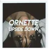 Disques vinyles populaires : Upside Down