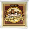 Ernie Ball Cordes 2043 Regular silk
