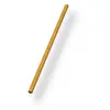 Latin Percussion LP249B Güiro avec Grattoir Beige