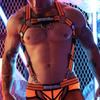 Harnais Body Hybred Breedwell Orange orange L/XL