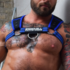 Harnais Intimidator Breedwell Noir-Bleu bleu L/XL