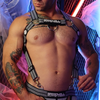 Harnais Body Hybred Breedwell Gris gris S/M