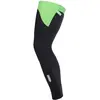 Q36.5 Jambières Woolf