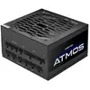 Chieftec Cpx-750fc (schwarz, 1x 12vhpwr, 4x Pcie ,kabel-management, 750 Watt)