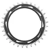 Sram T-type Xxsl D1 Eagle 3 Mm Offset Kettingblad Zilver 32t