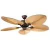 Ventilateur de plafond DC Eco Elements Marron / Palmier