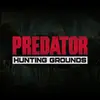 Sony PREDATOR: HUNTING GROUNDS FR/NL PS4