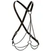 CalExotics - Euphoria Collection - Multi Chain Harness