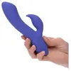 CalExotics Sextoy connecté double stimulation CalExotics