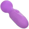 Rechargeable Massager