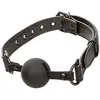 Nocturnal Ball Gag