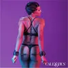 CalExotics Hand Cuffs