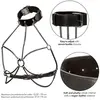 Chain Collar Harness CalExotics