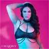Chain Collar Harness +Size CalExotics