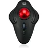 Adesso iMouse T40 muis Ambidextrous RF Draadloos Trackball 4800 DPI