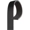 Gates Poly V-riem