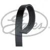 Gates Poly V-riem