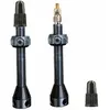 Tubolight TL-VVGRY Paire Valves Tubeless Vélo Mixte, Gris, 50mm