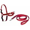 PetSafe Easy Walk Anti Trek Tuig, De Riem en Harnas voor Trekkende Hond