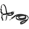 PetSafe Marche facile (XL, Chien, Promenade), Collier + laisse