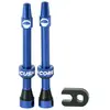 Cushcore Soupapes Presta Tubeless