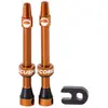Cushcore Soupapes Presta Tubeless
