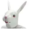 Masque de lapin déguisement latex