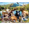 Master Pieces National Parks - Rocky Mountain Pieces-82219