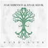 BY NORSE MUSIC Hardanger Vinyle Gris