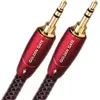 Câbles jack/mini-jack Audioquest Golden Gate mini-jack Mâle/Mâle (5 m)