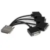 StarTech.com Cable Repartiteur 1 VHDCI vers 4 DVI-D - M / F