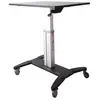 StarTech.com Mobile Sit-Stand Workstation