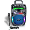 Bontempi Wireless Lautsprecher mit Mikrofon 120W