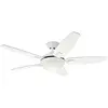 HUNTER FANS Ventilateur de plafond Contempo Blanc avec Lumière