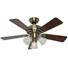 Hunter Fans - Ventilateur de plafond Beacon Hill Laiton avec Lumière