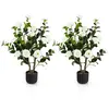 Camélias Artificiels - COSTWAY - Lot de 2 - Blanc - Intérieur - 95 cm
